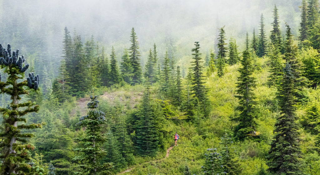 Girl running through the forest in the mist